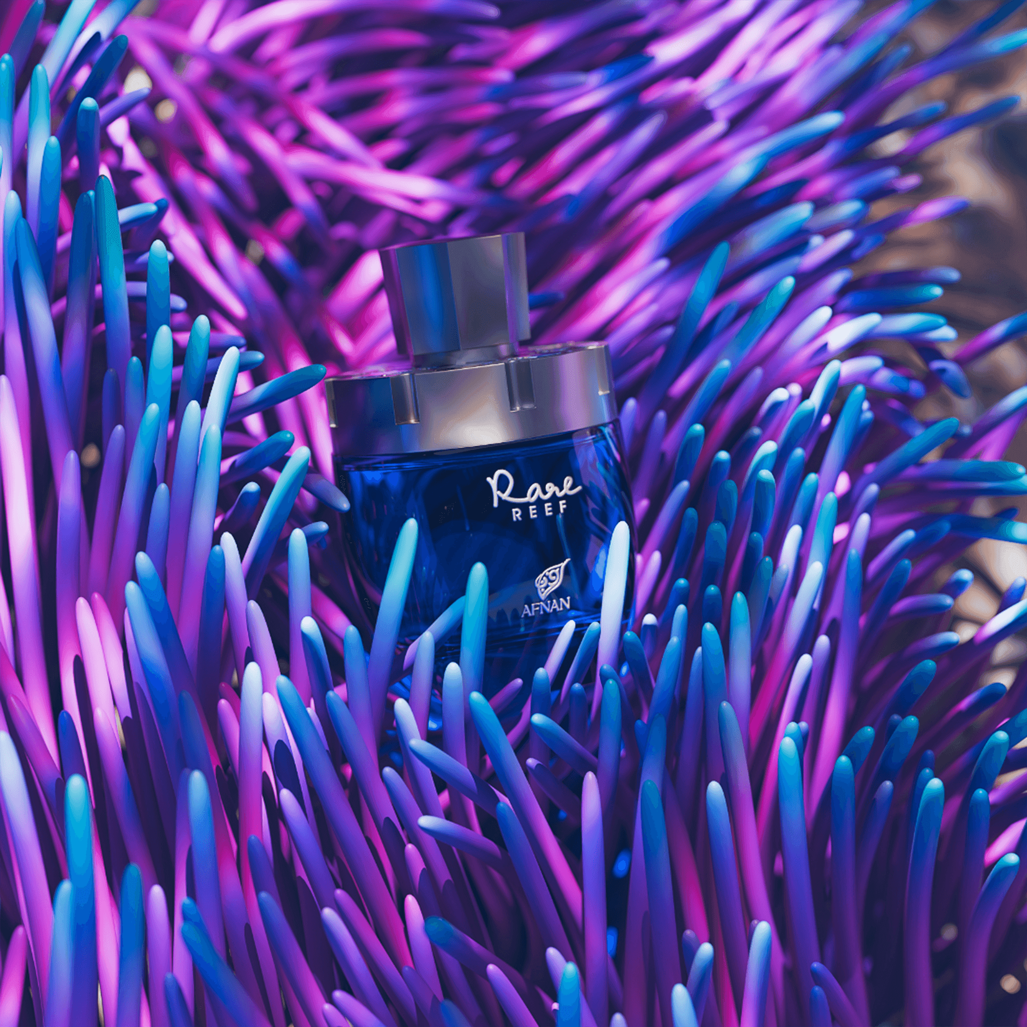 Rare Reef (Extrait De Parfum | Unisex) — thumbnail 6