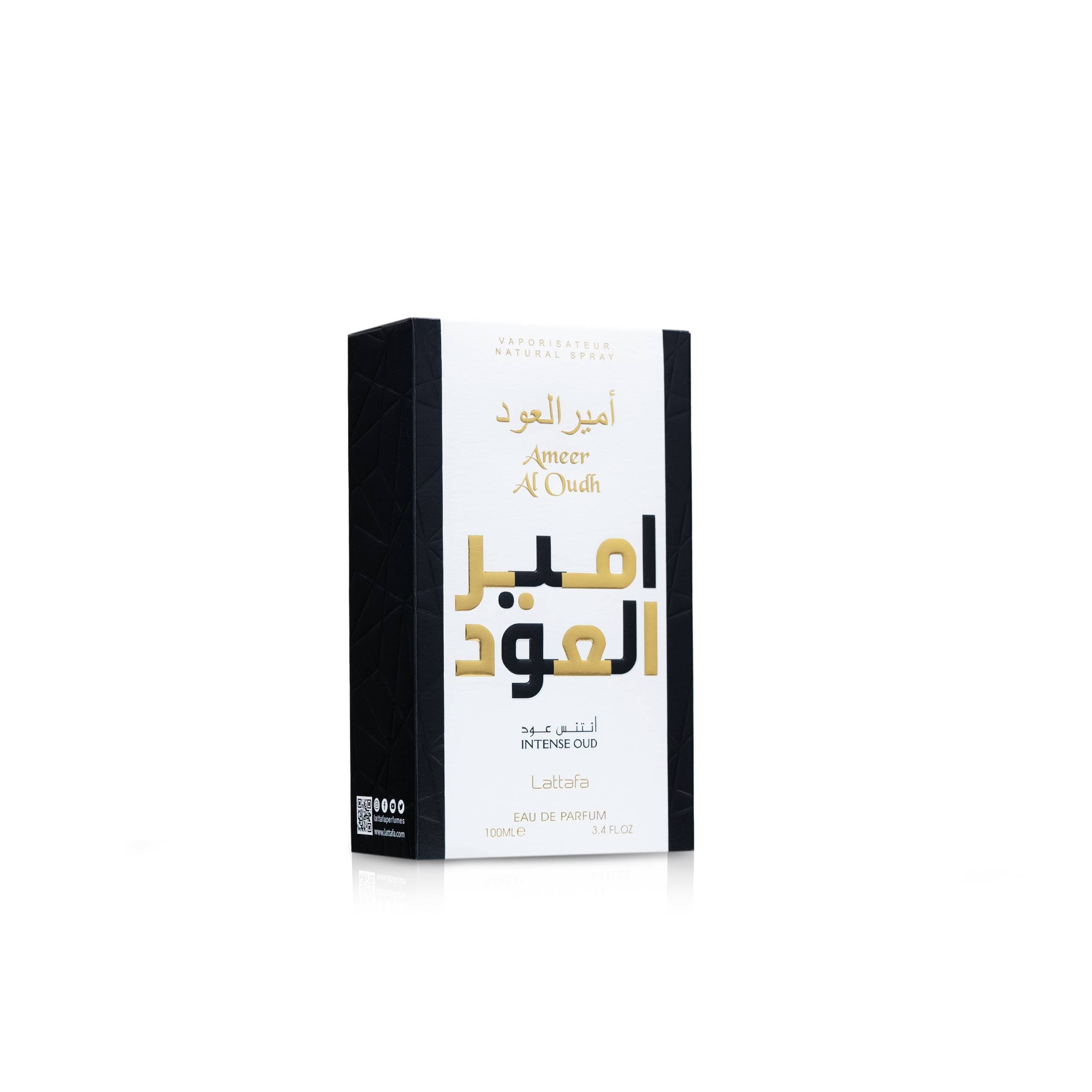 Ameer Al Oudh – Intense — thumbnail 3