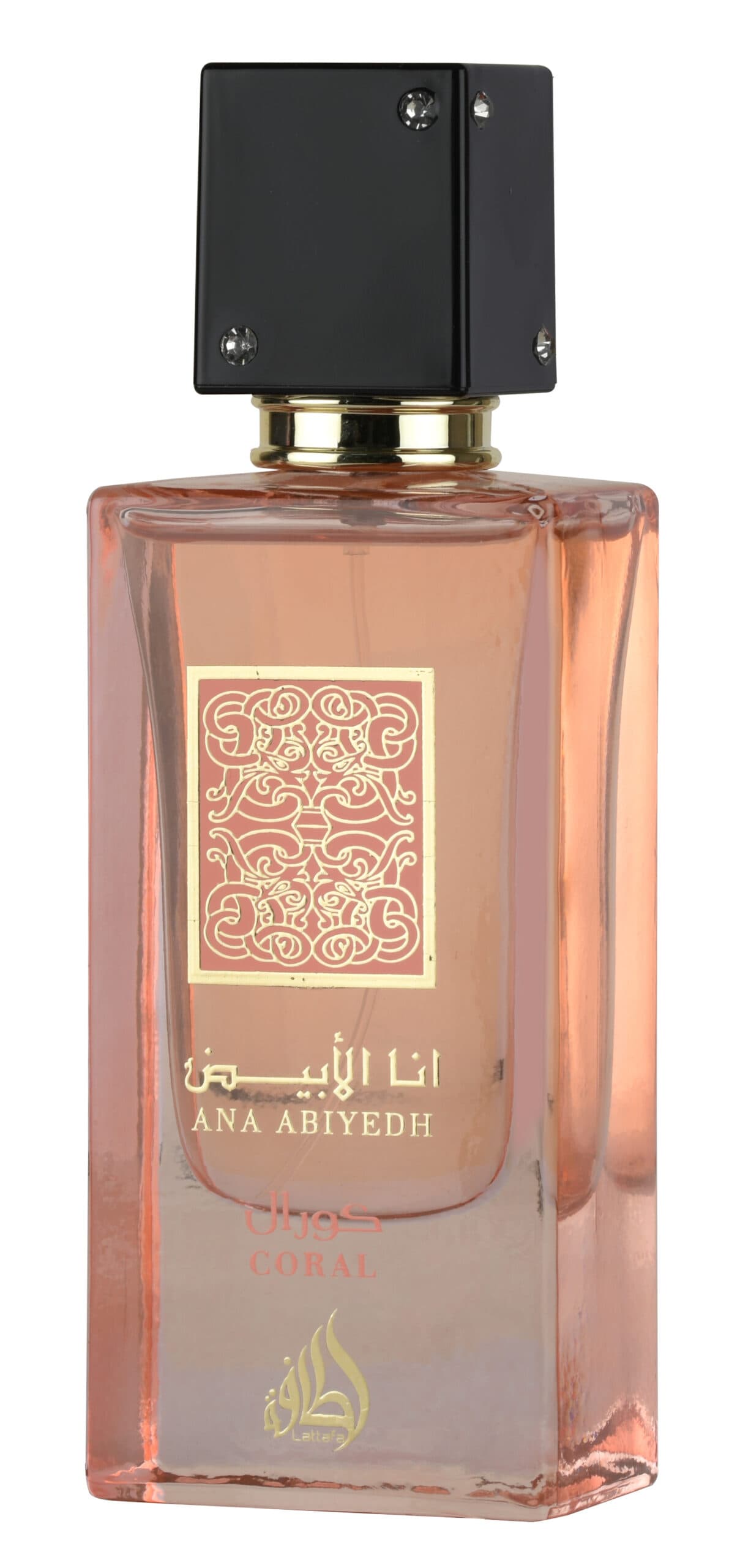 Ana Abiyedh Coral — thumbnail 2