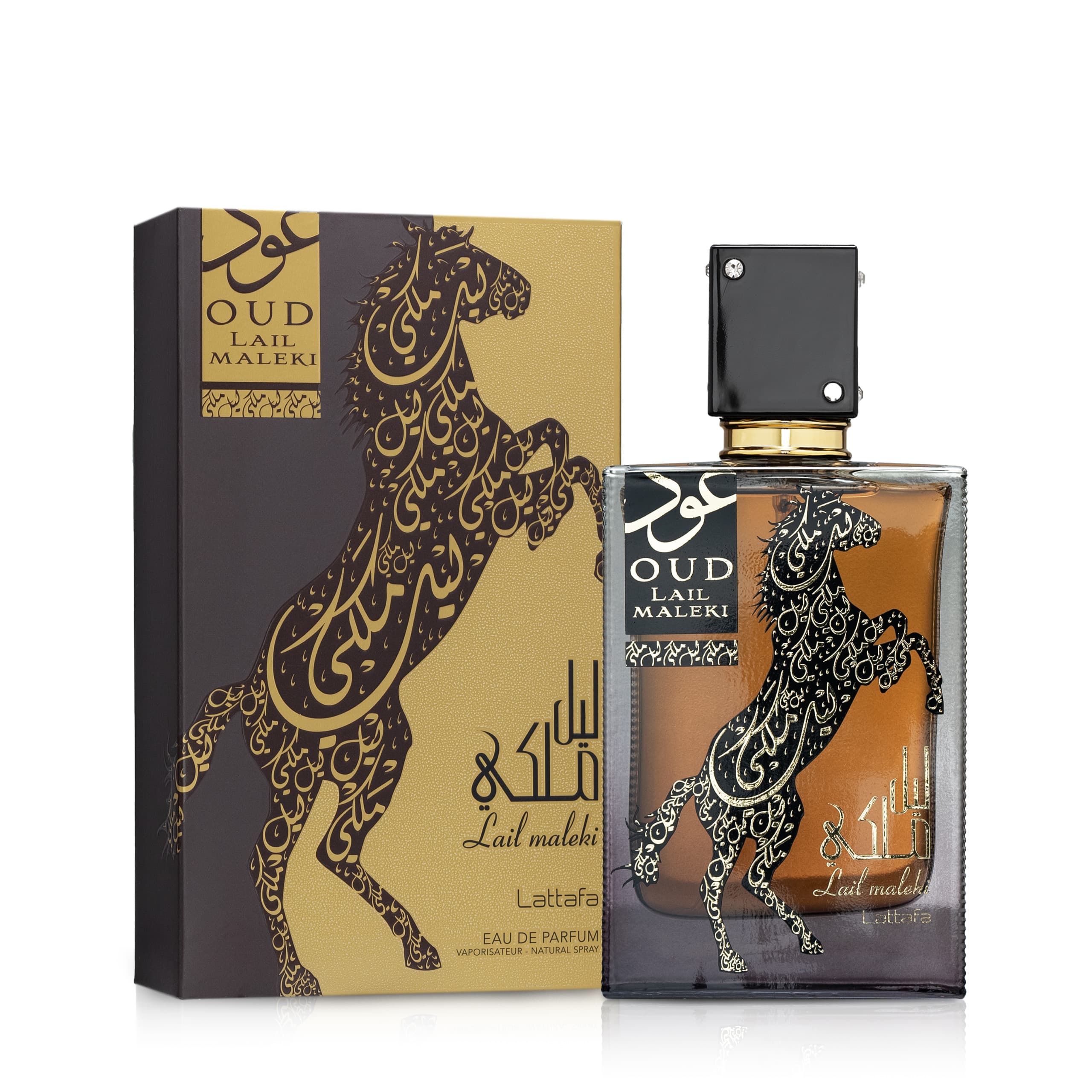 Oud Lail Maleki — thumbnail 2