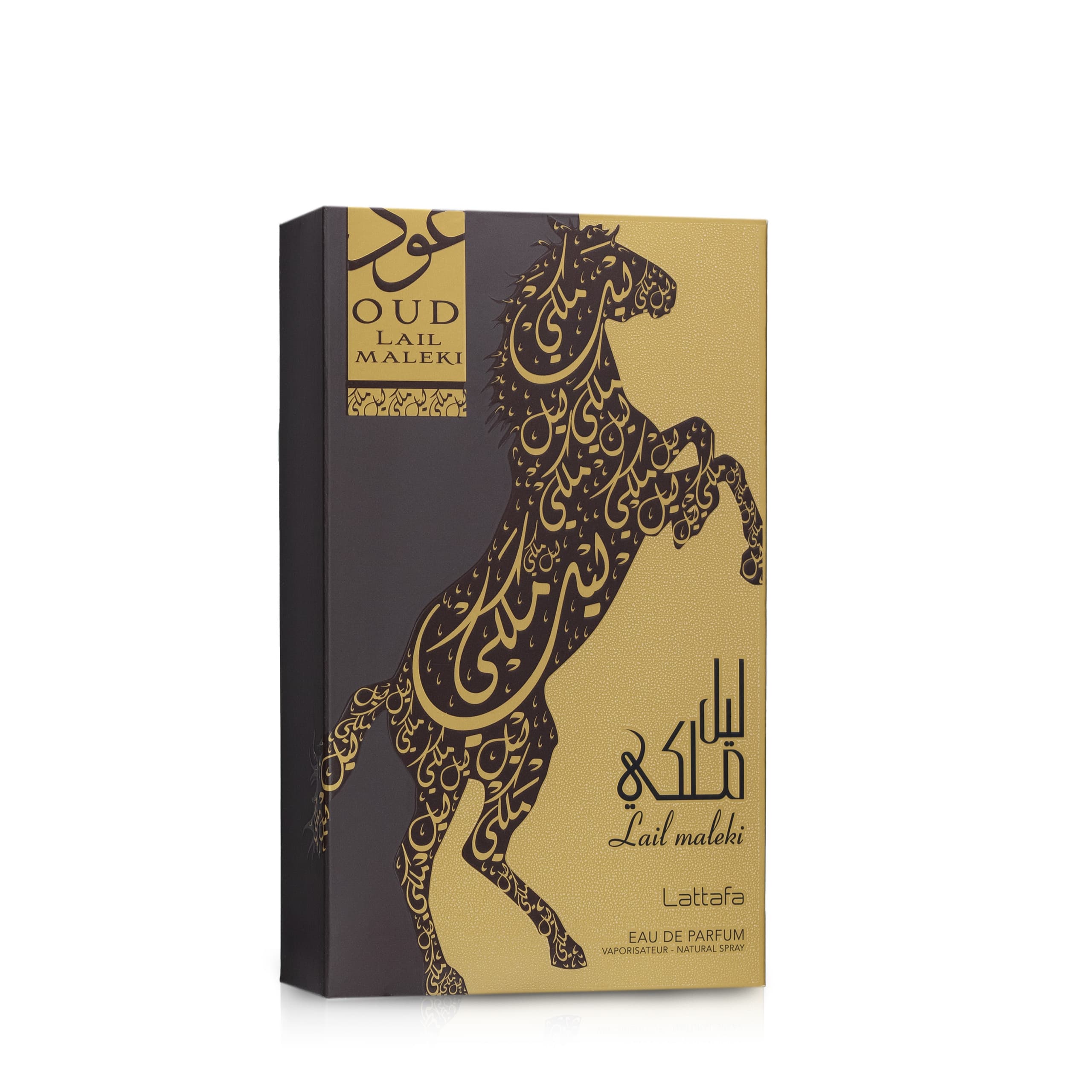 Oud Lail Maleki — thumbnail 3
