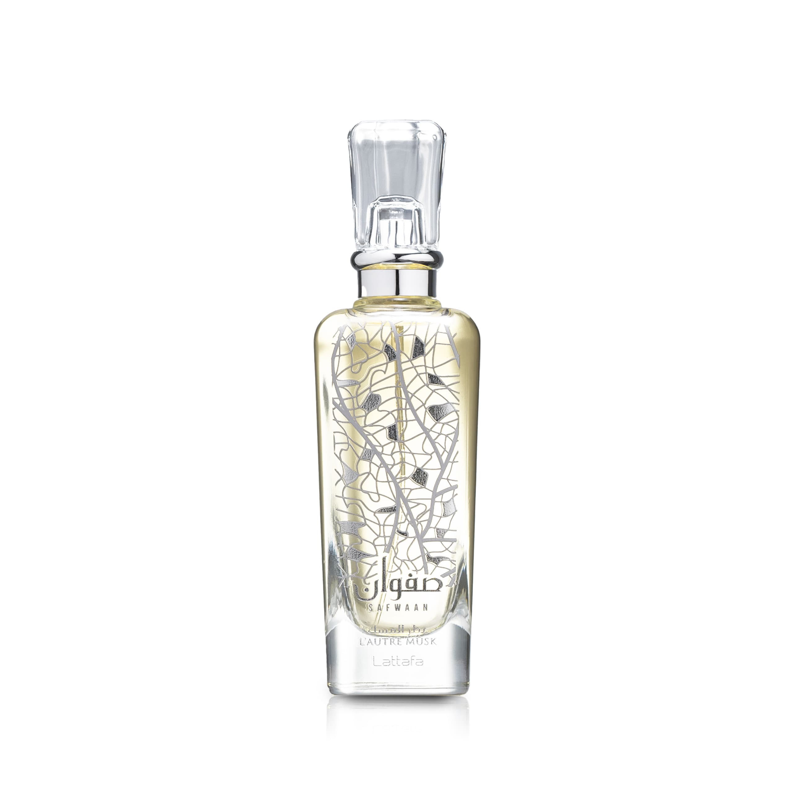 Safwaan Lauture Musk — thumbnail 1