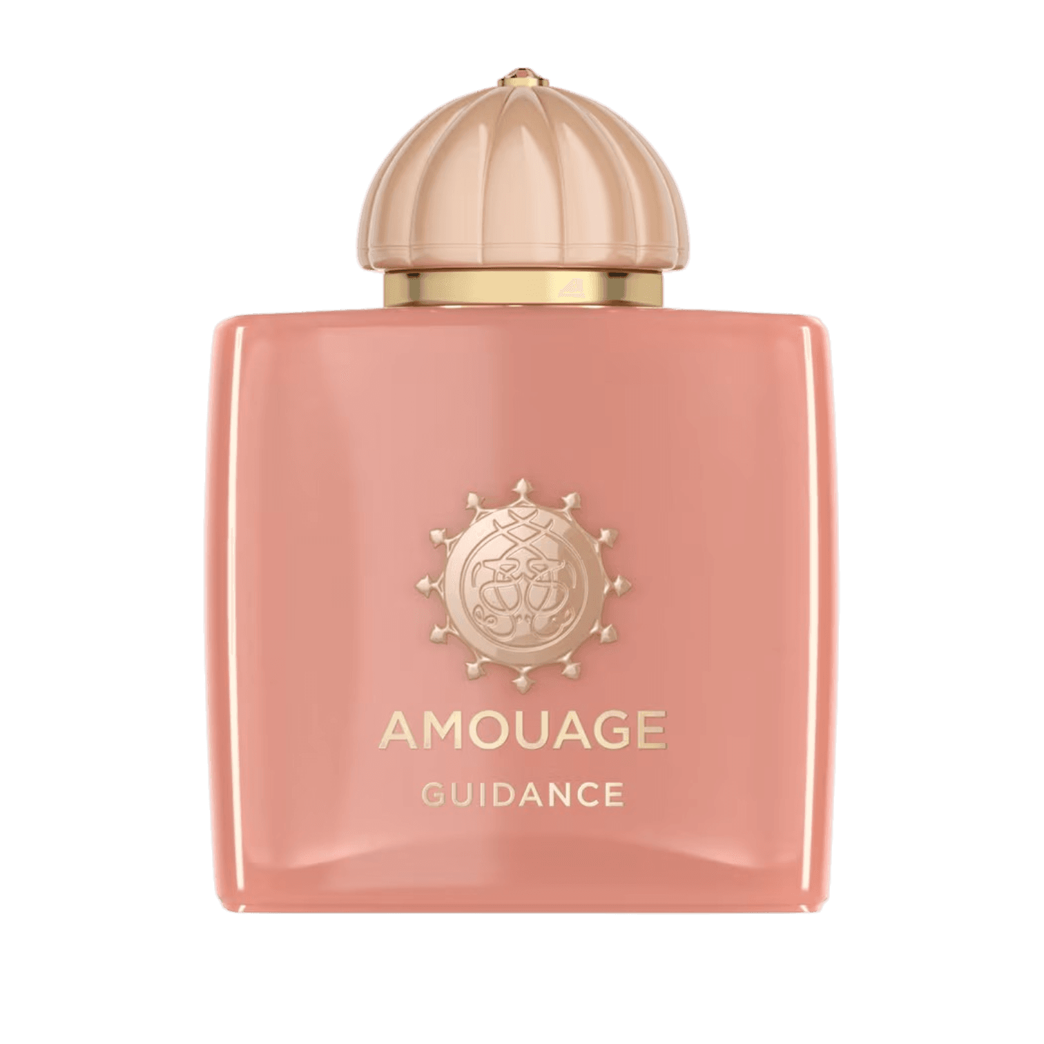 Guidance Eau de Parfum- 100ml by Amouage perfume bottle